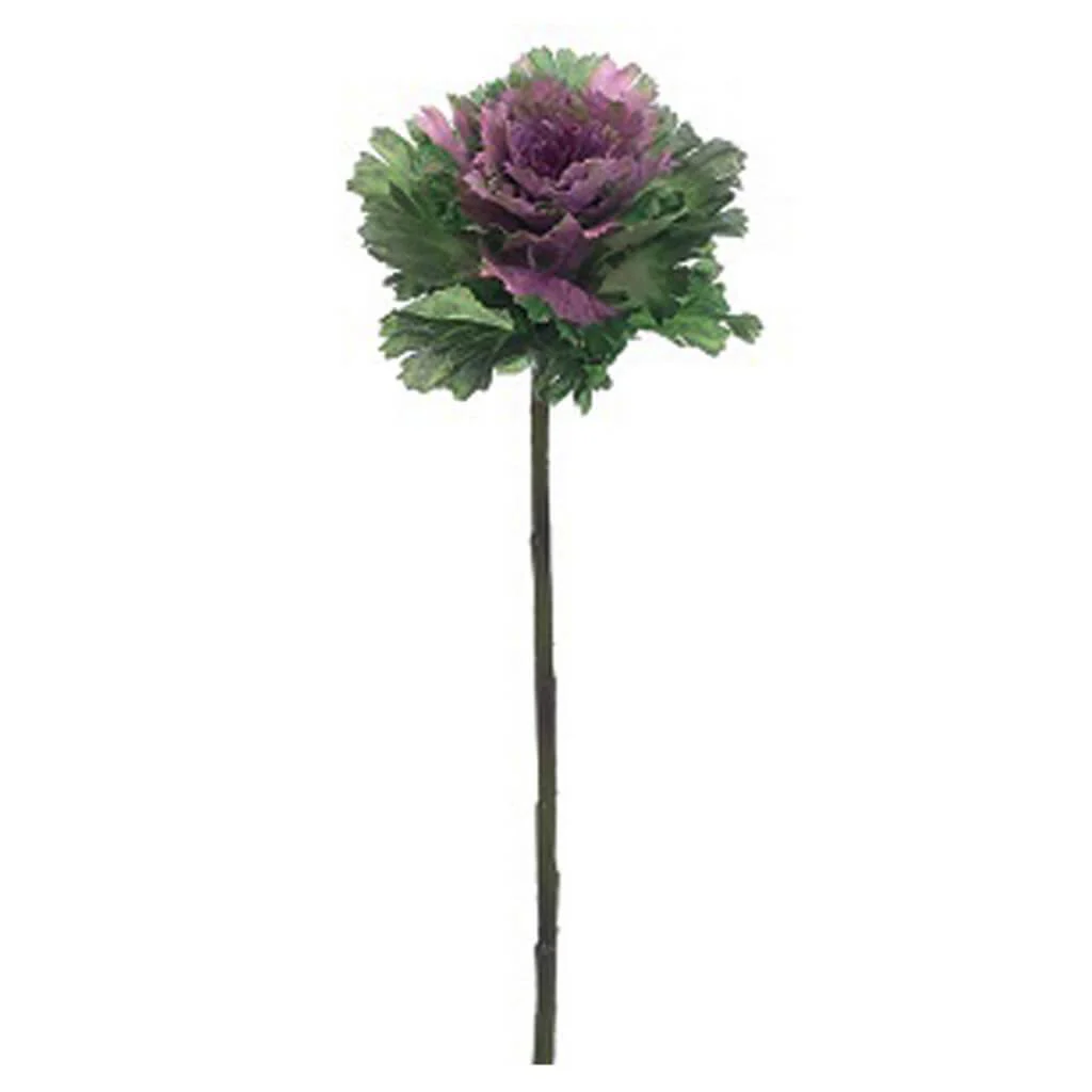 CABBAGE SPRAY 18.5" GREEN BOYSENBERRY