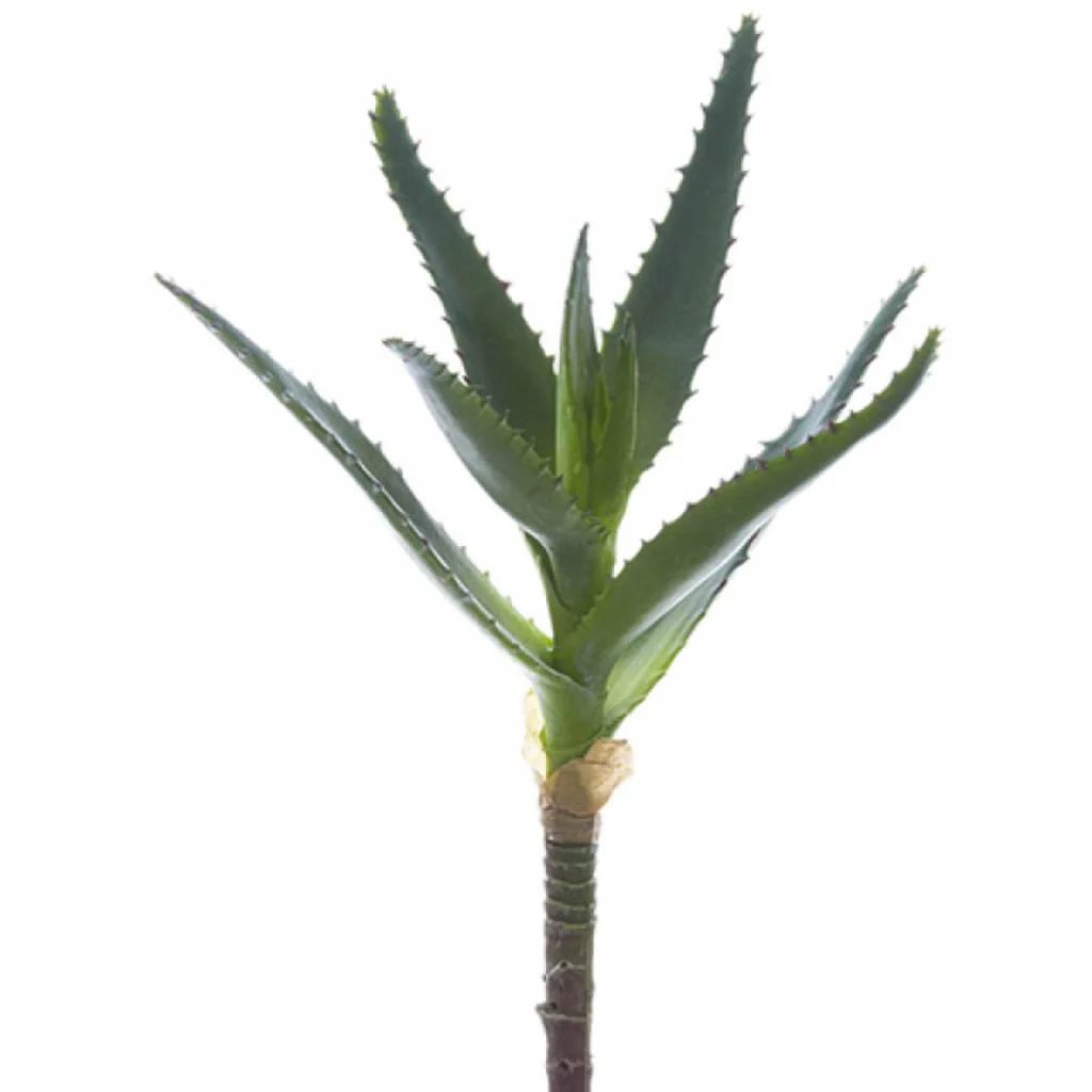 AGAVE PICK 8.5in GR/GY