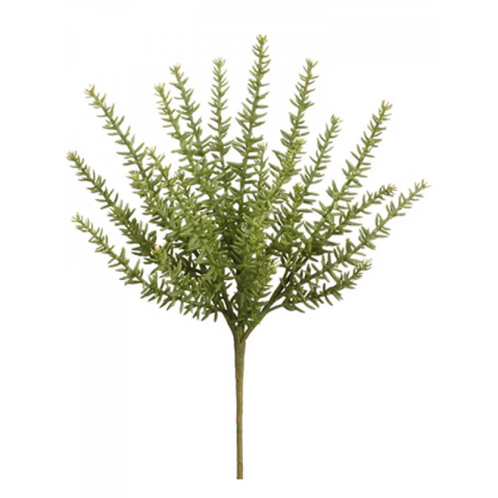 SEDUM BUSH 34" GREEN