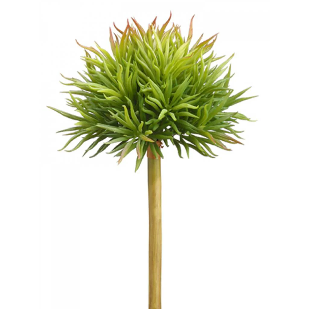 SENECIO PICK 12" GR/MV