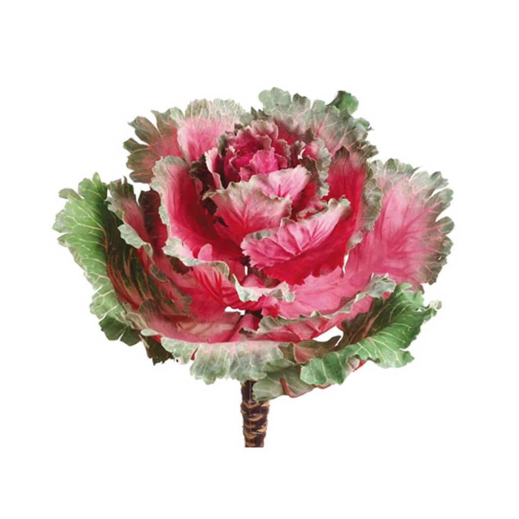 Ornamental Cabbage 11.5" Ce/Gr