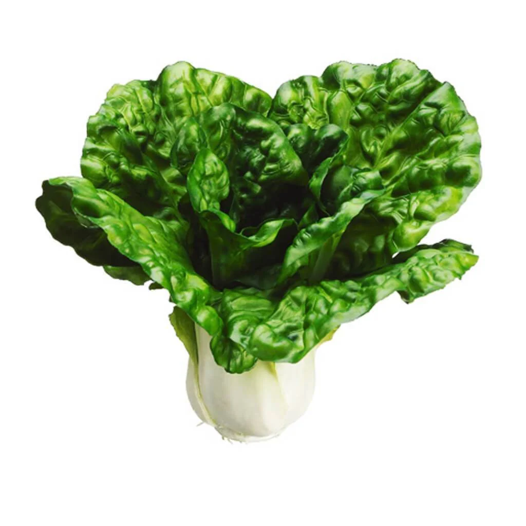 Cabbage 7" Gr