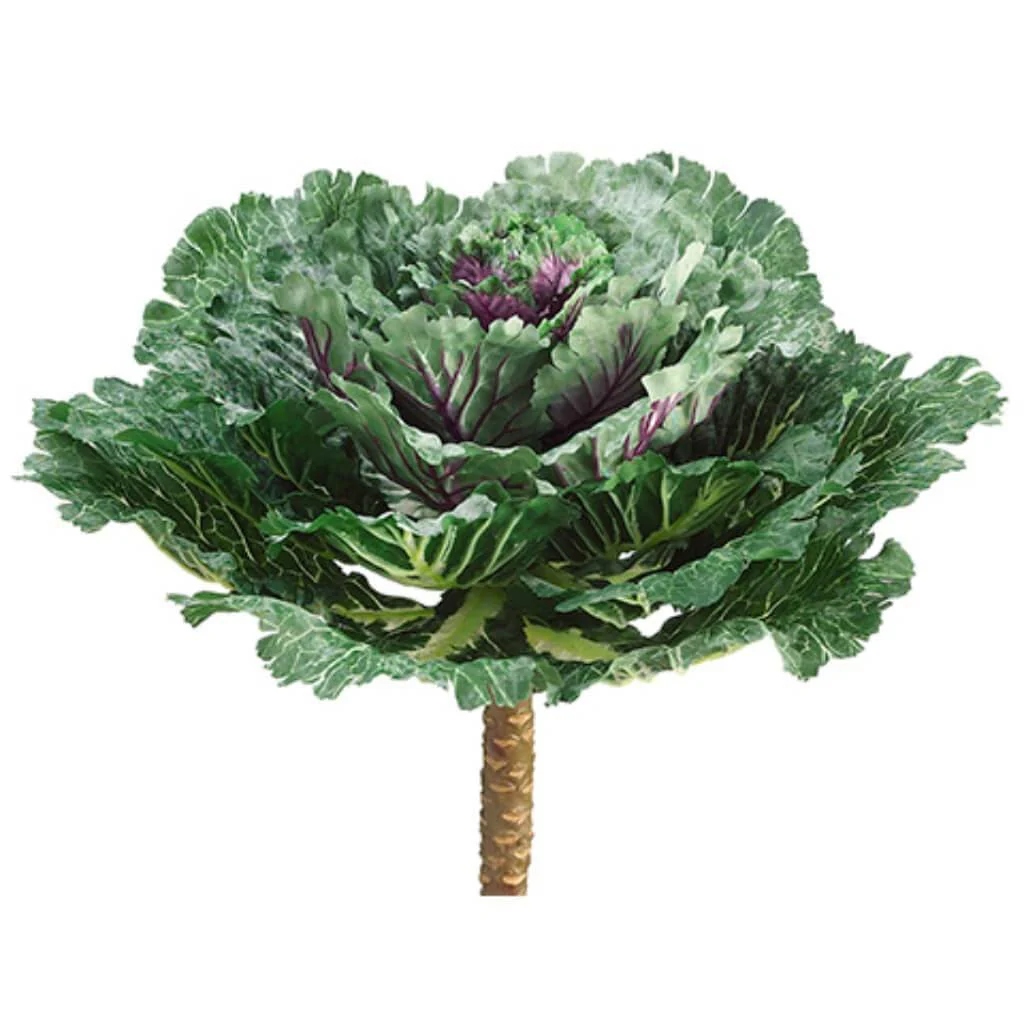 Cabbage Spray 14" Wx15" L Green Purple