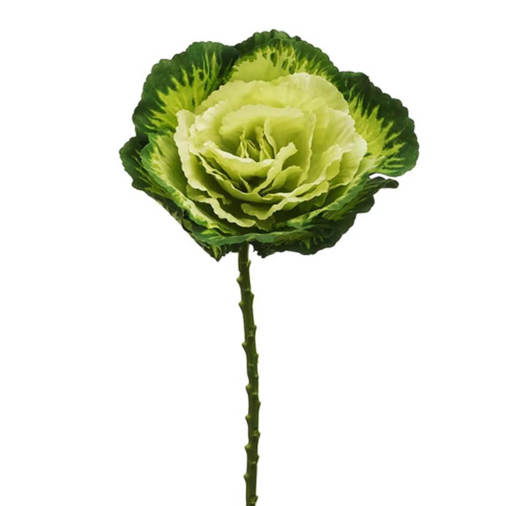 Cabbage Spray 19" Green Green