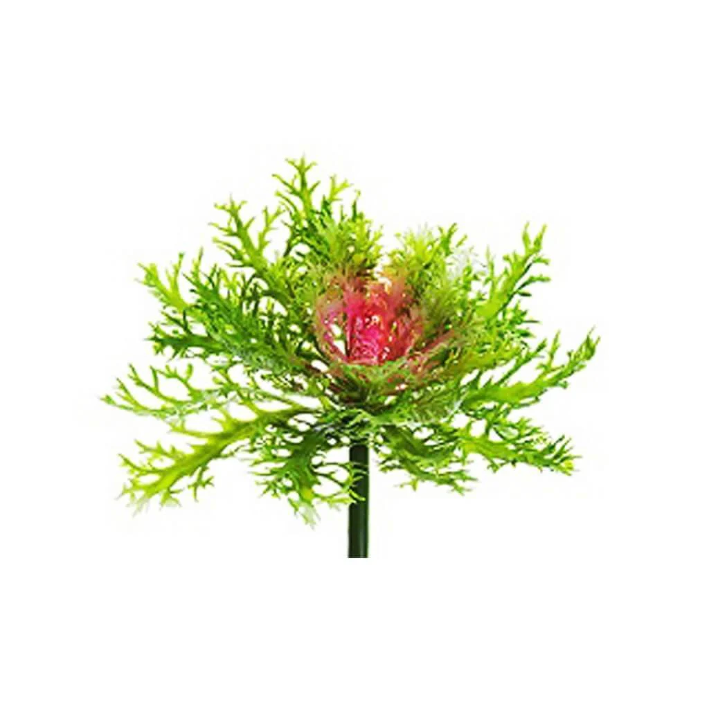 Cabbage Spray 9" Green Pink