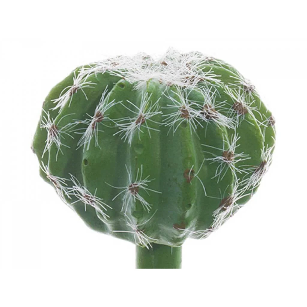 Barrel Cactus Pick 3" Gr