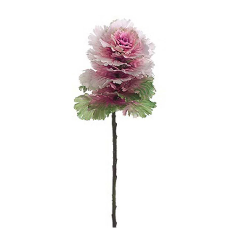 Cabbage Spray 24" Green Lilac