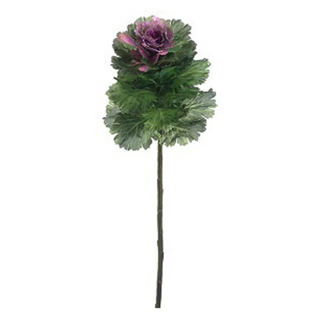 Cabbage Spray 24" Green Boysenberry