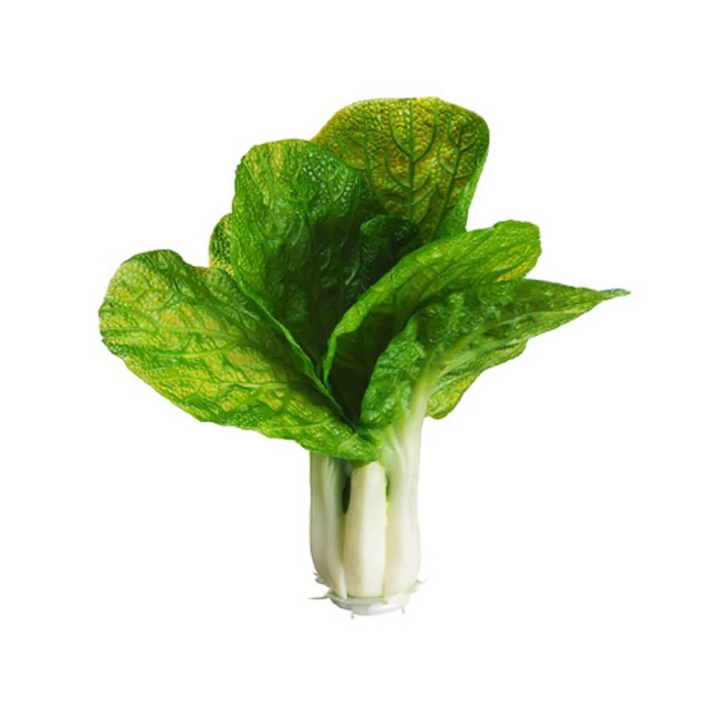 Cabbage 8" Gr