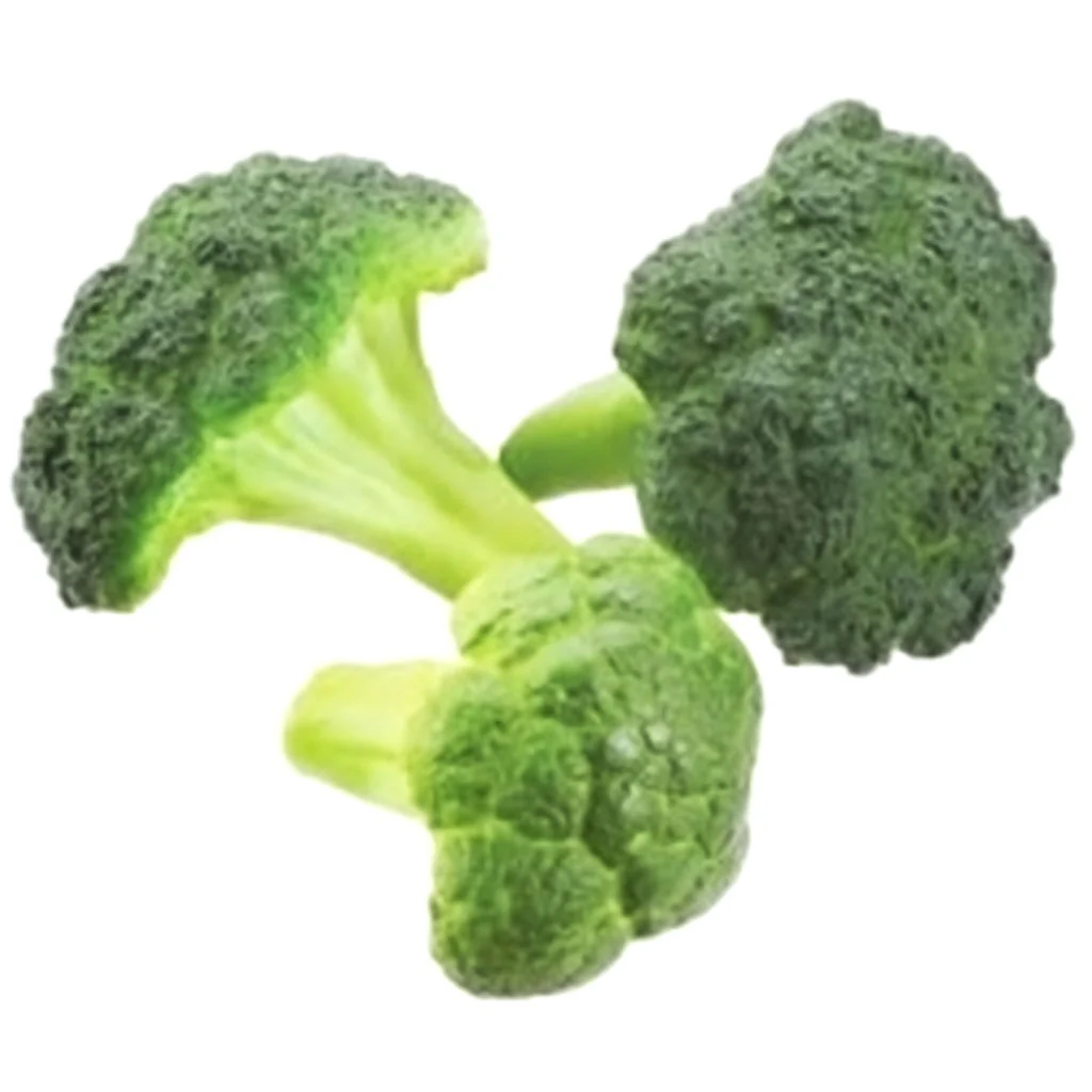 Broccoli (3/Bg) 5H2.5" W Gr
