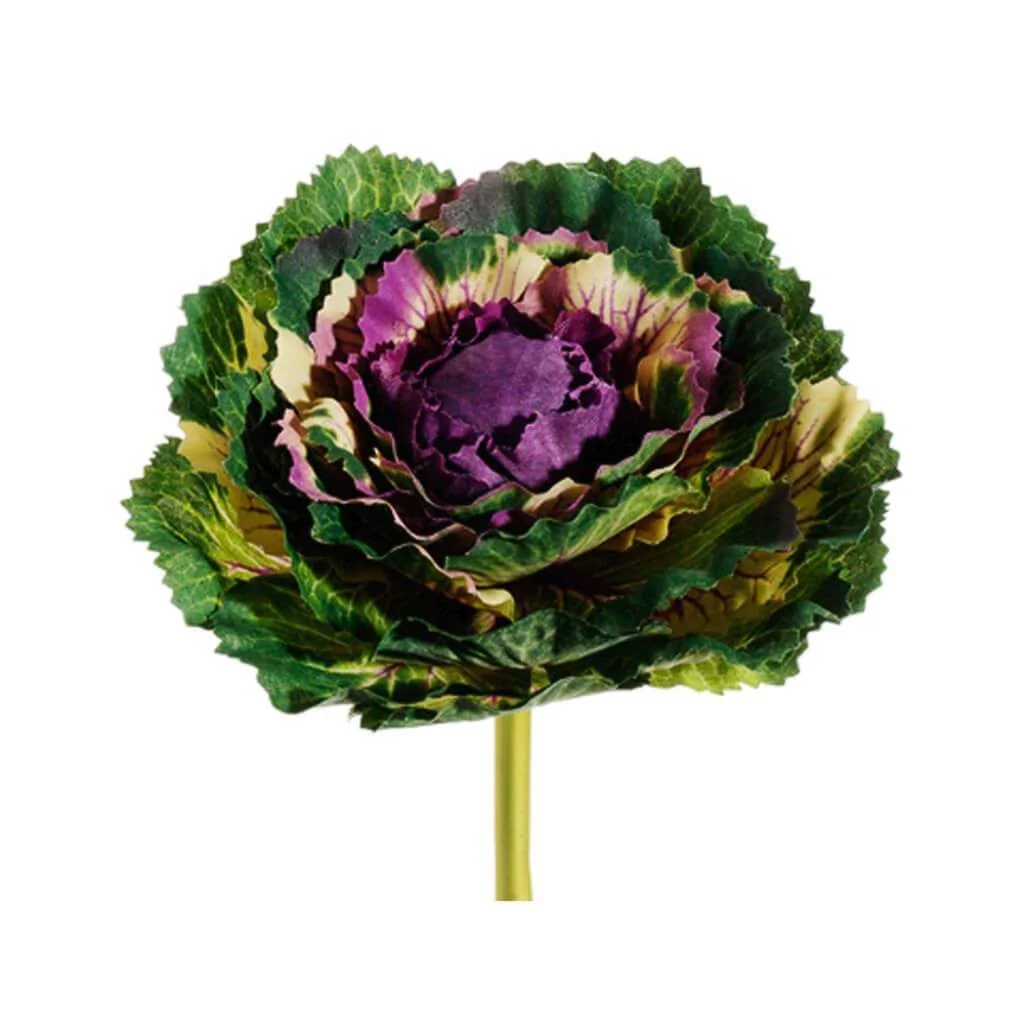Cabbage Pick 5" Pl/Gr