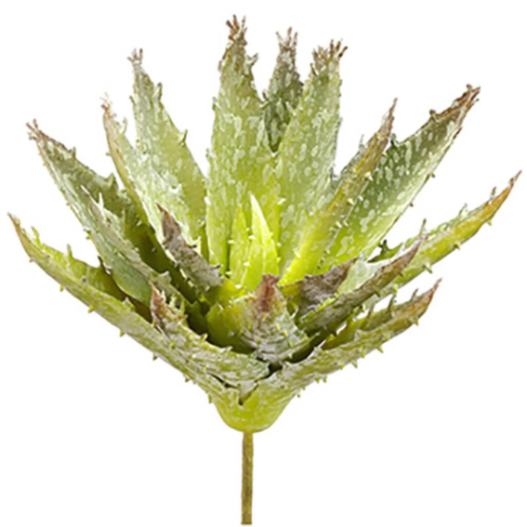 Soft Aloe Pick 6.5" Gr