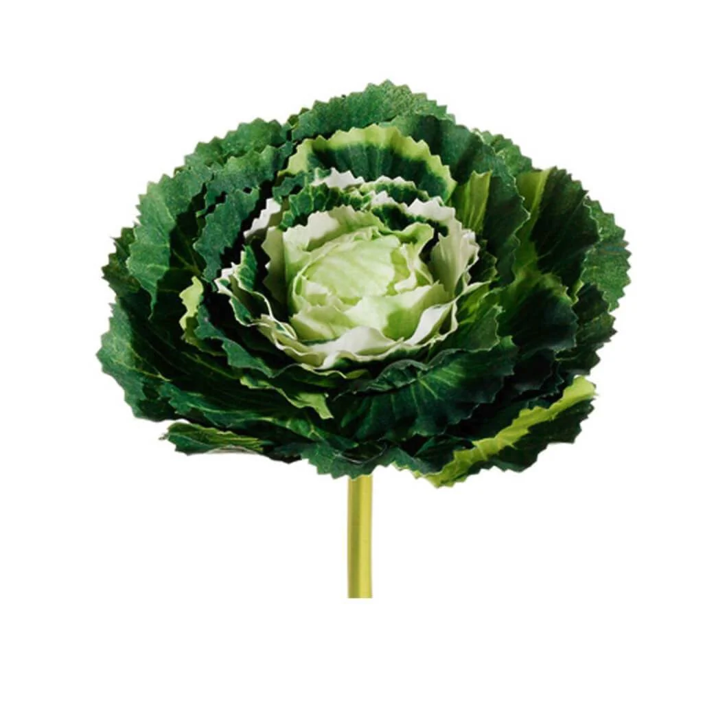 Cabbage Pick 5" Cr/Gr