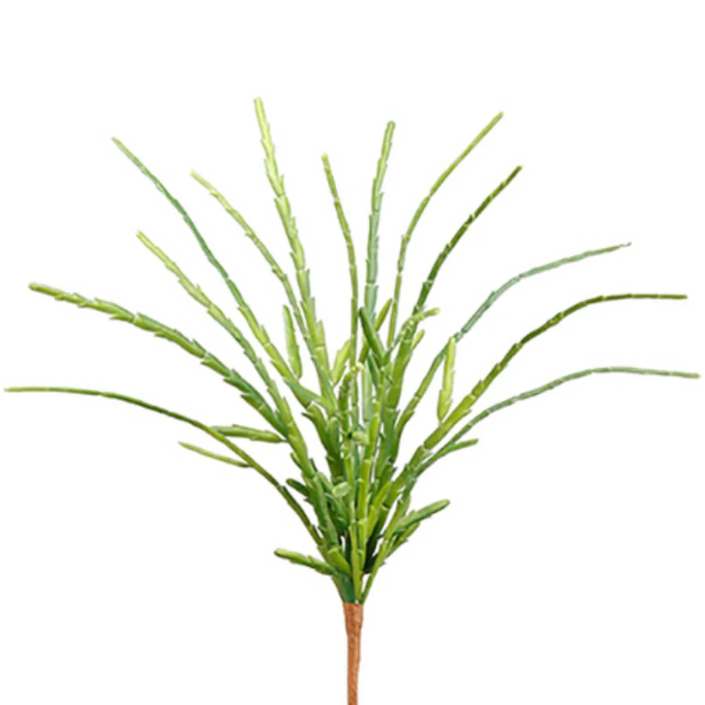 Pencil Cactus Bush 13" Gr