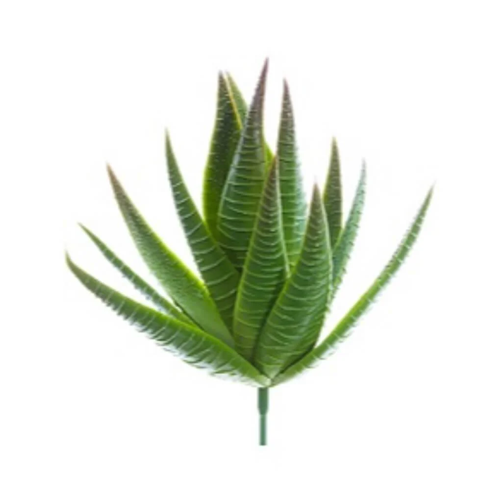 Soft Aloe Pick 6" Gr