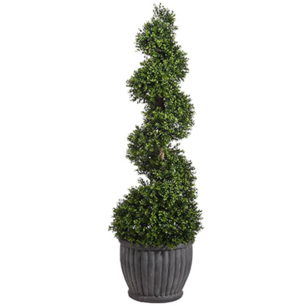 Boxwood Topi(Cement Planter 76in