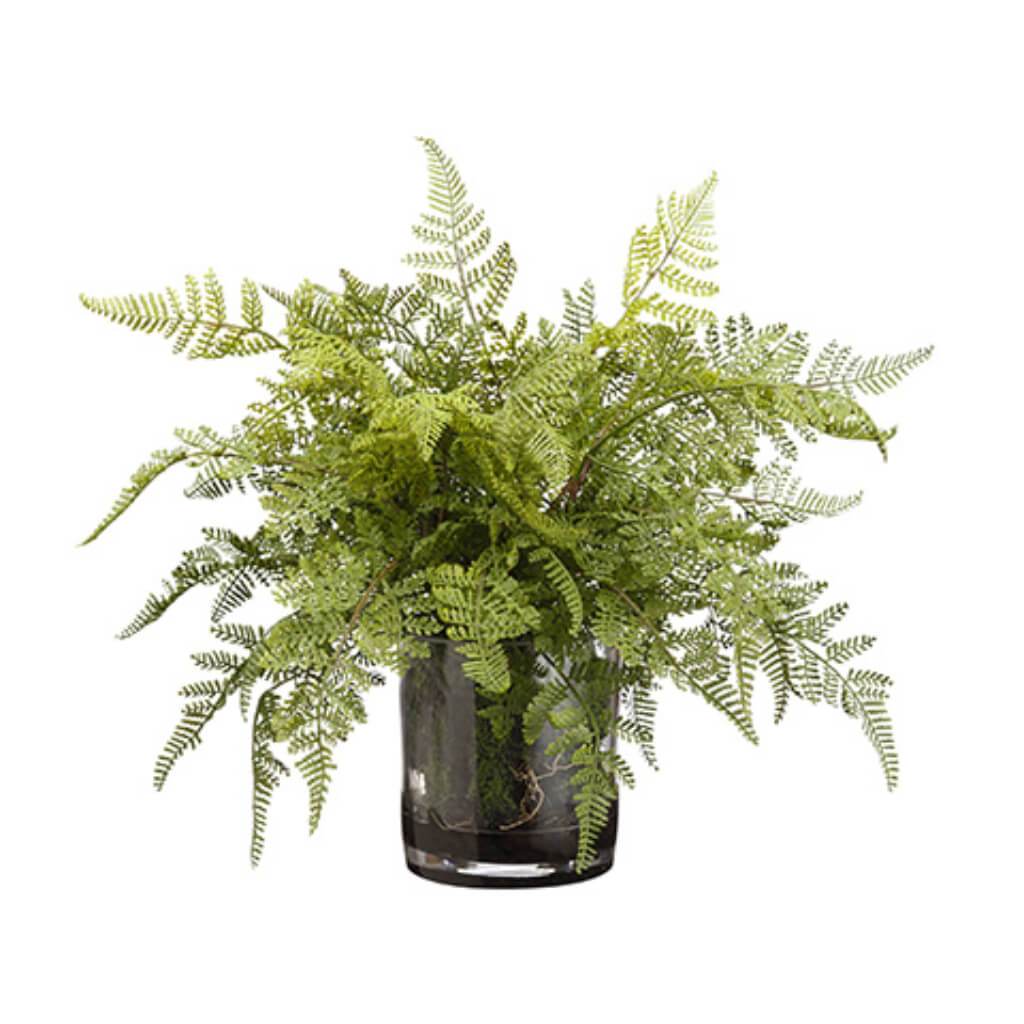 Lace Fern/Soil (V) 17H20W20" L