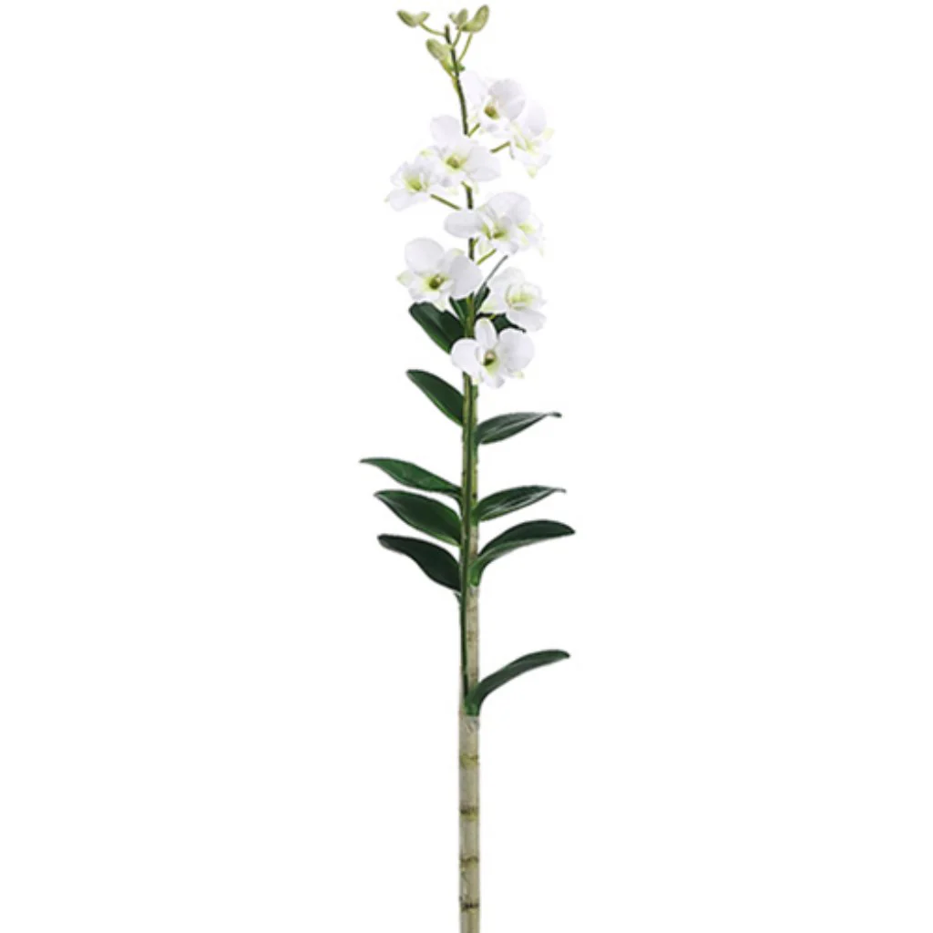 Dendrobium Plant 9F5B13L 47" Wh