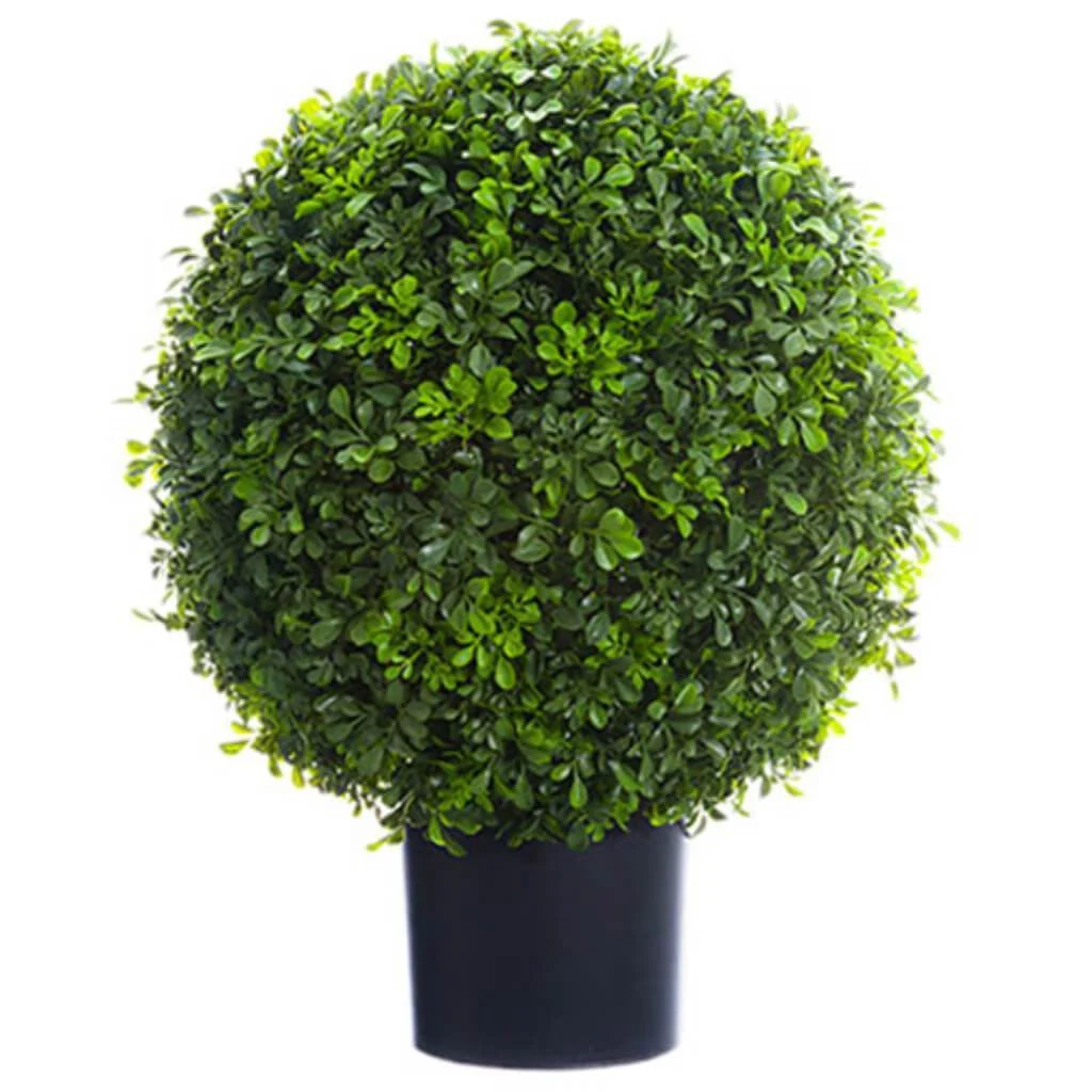 Boxwood Ball Topiary (P) 22" Gr