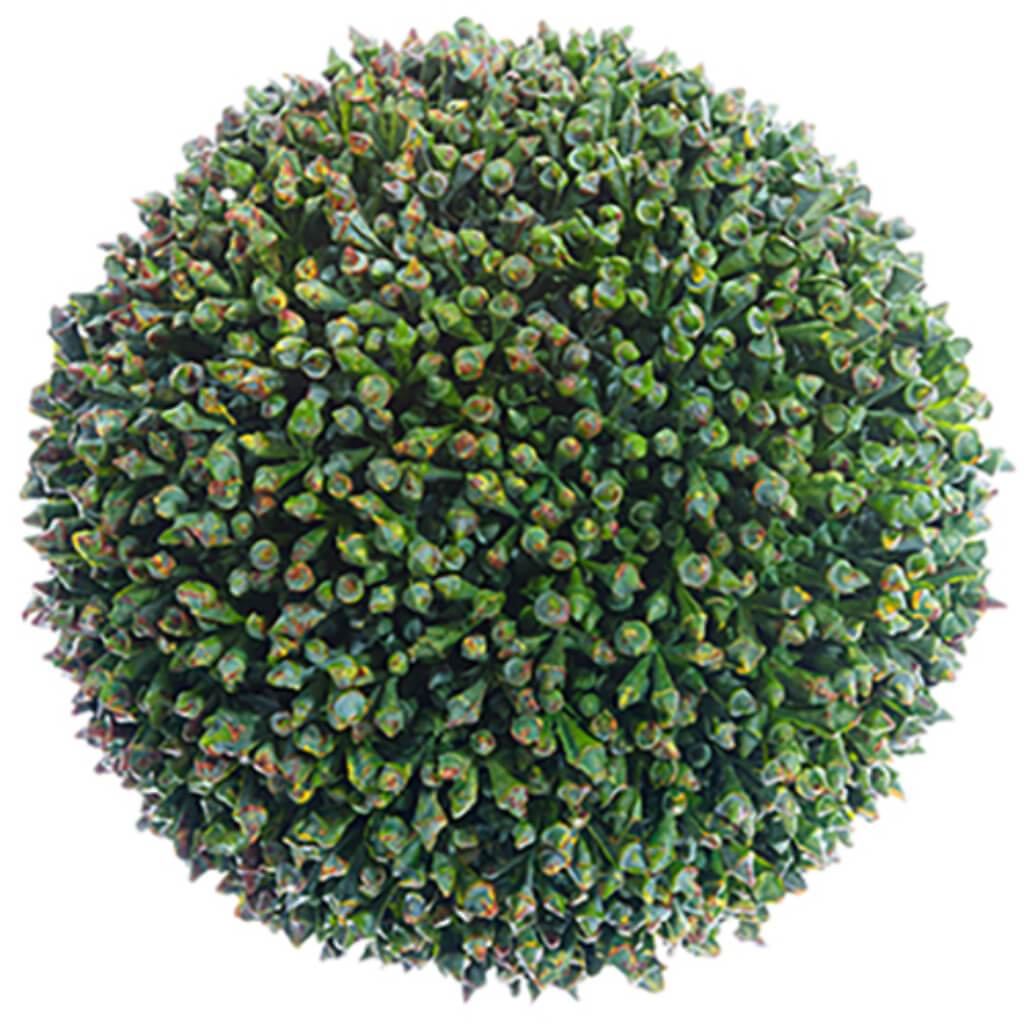 Sedum Orb 5.5" Gr