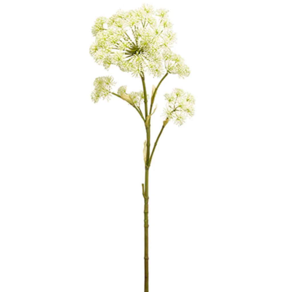 Cow Parsnip Spray 50" Cream Green