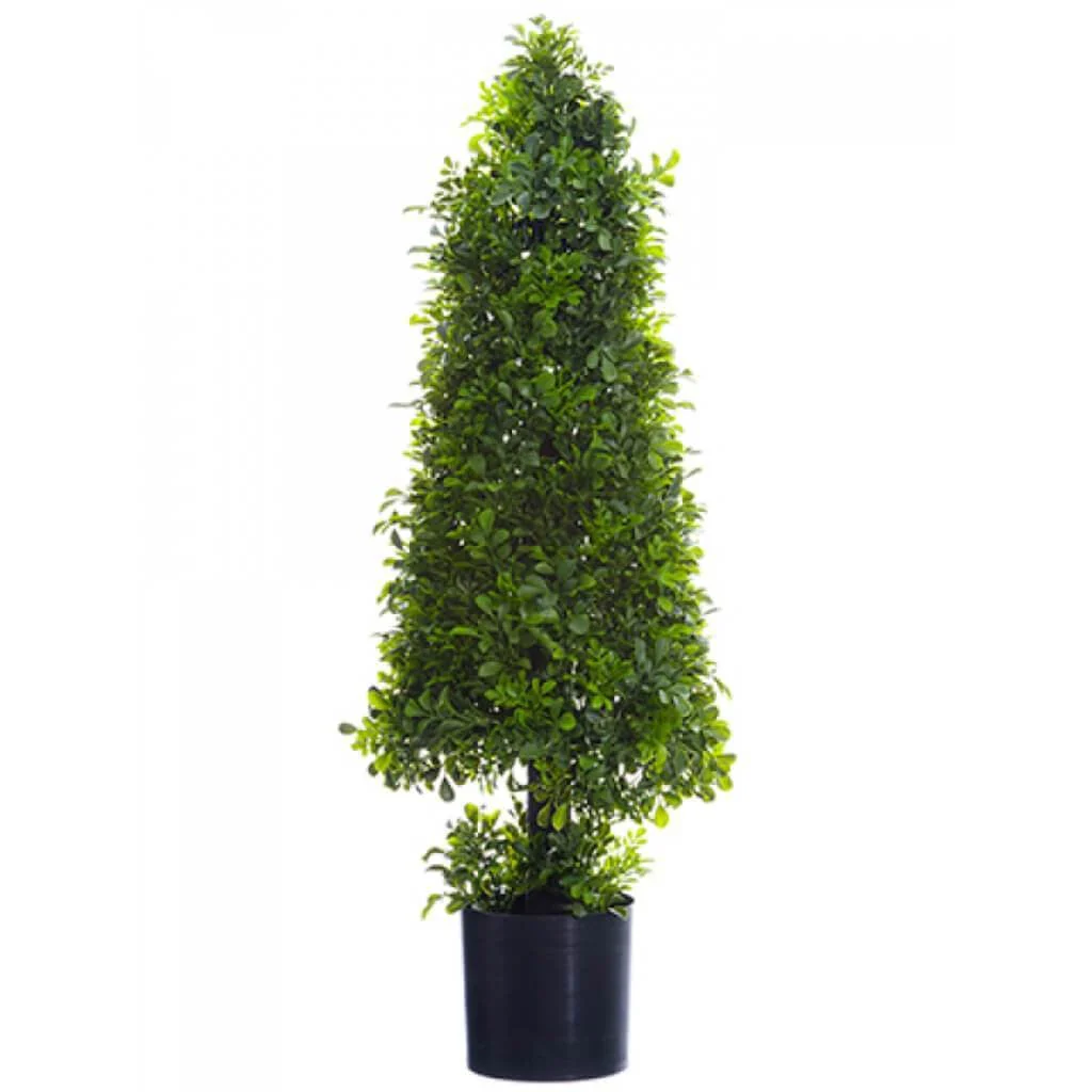 Boxwood Cone Topiary (P) 29in