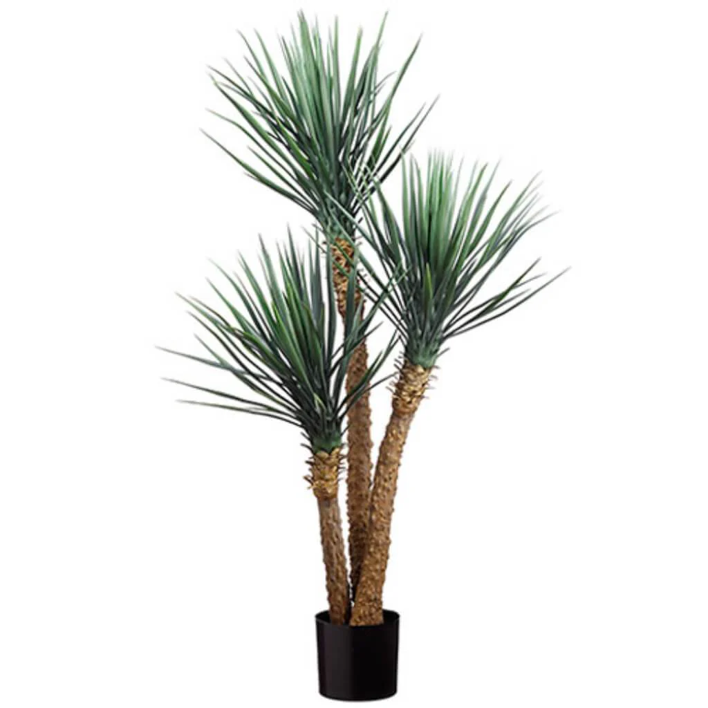 Yucca Plant X3 5' Gr/Fs