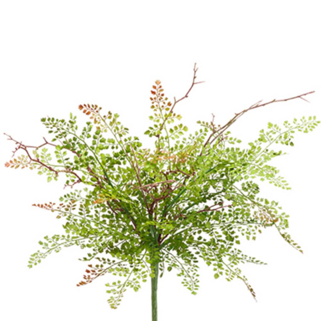 Maidenhair Fern Bouquet 24" Gr