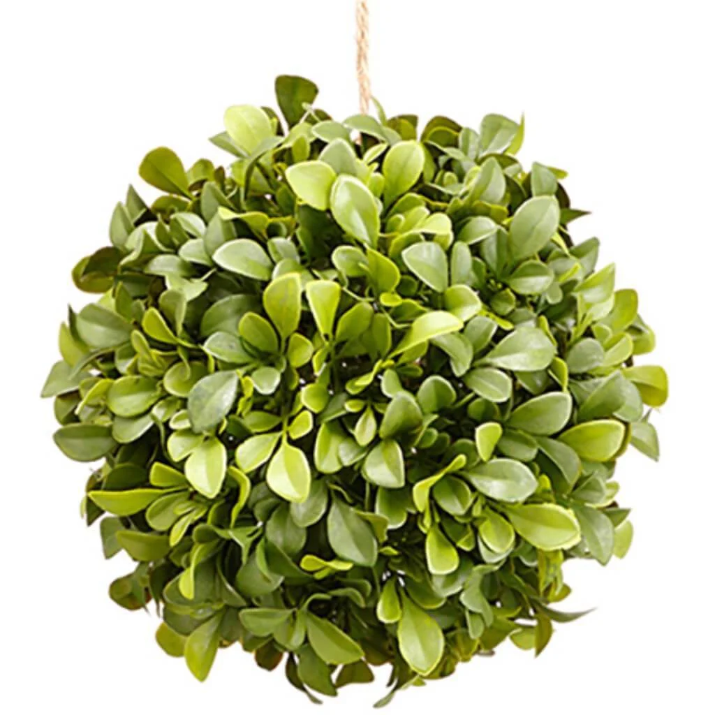 Boxwood Orb 7" Gr