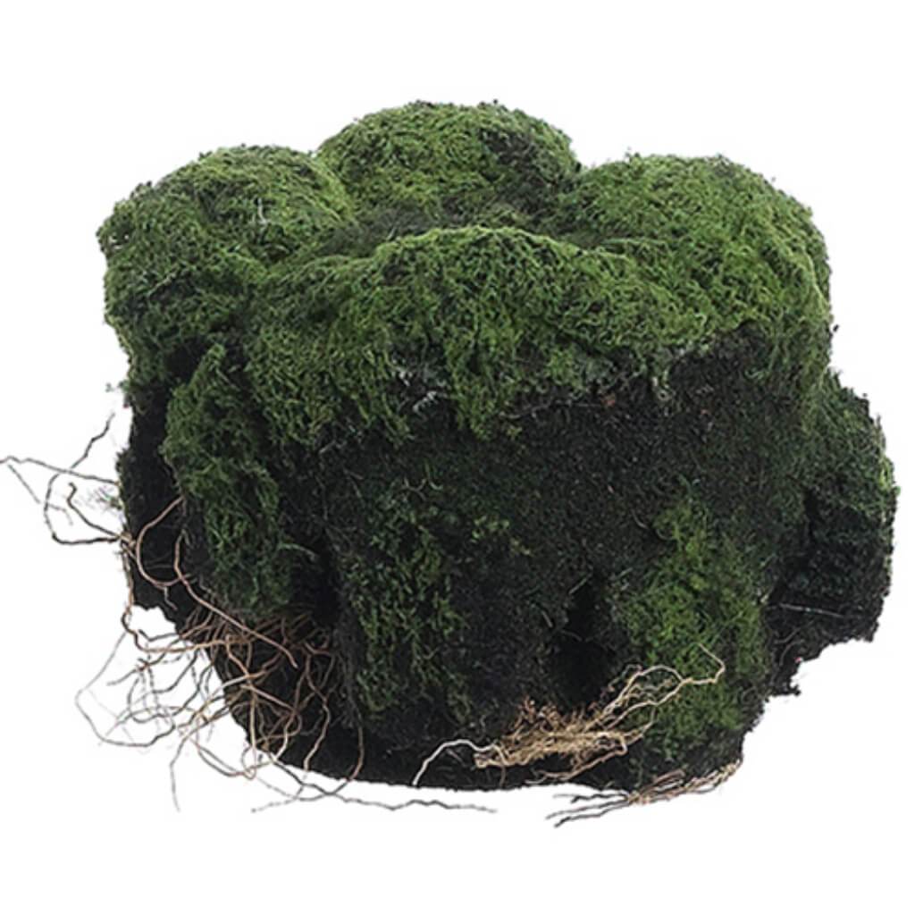 Moss/Soil Planter 4H4.5" D Gr