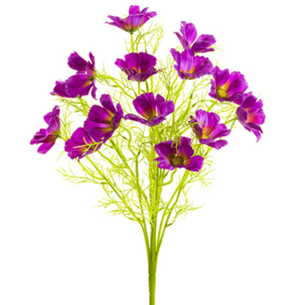 Cosmos Bush X11 22" Pu