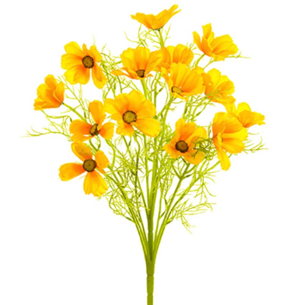 Cosmos Bush X11 22" Ye