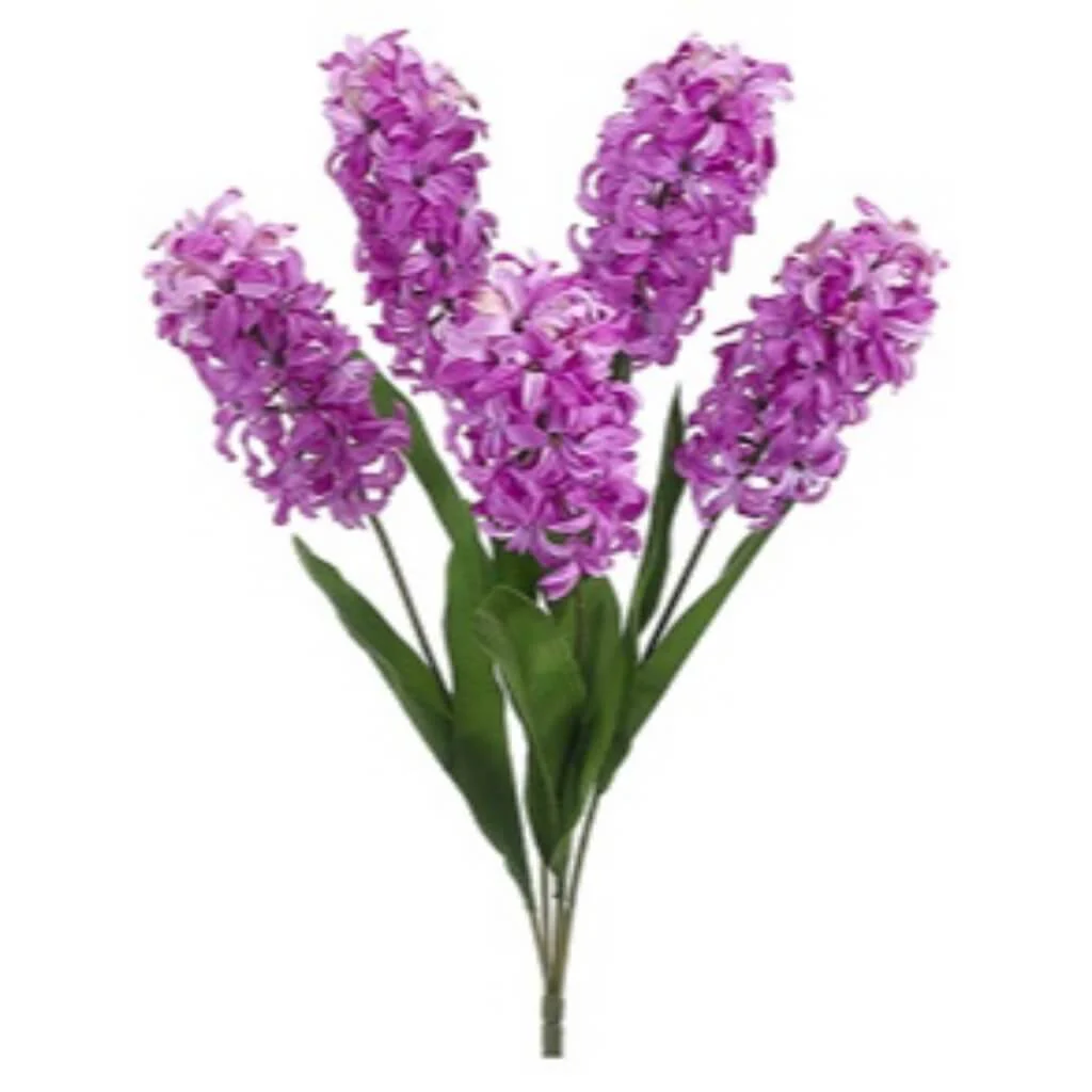 Hyacinth Bush X5 24" Ll