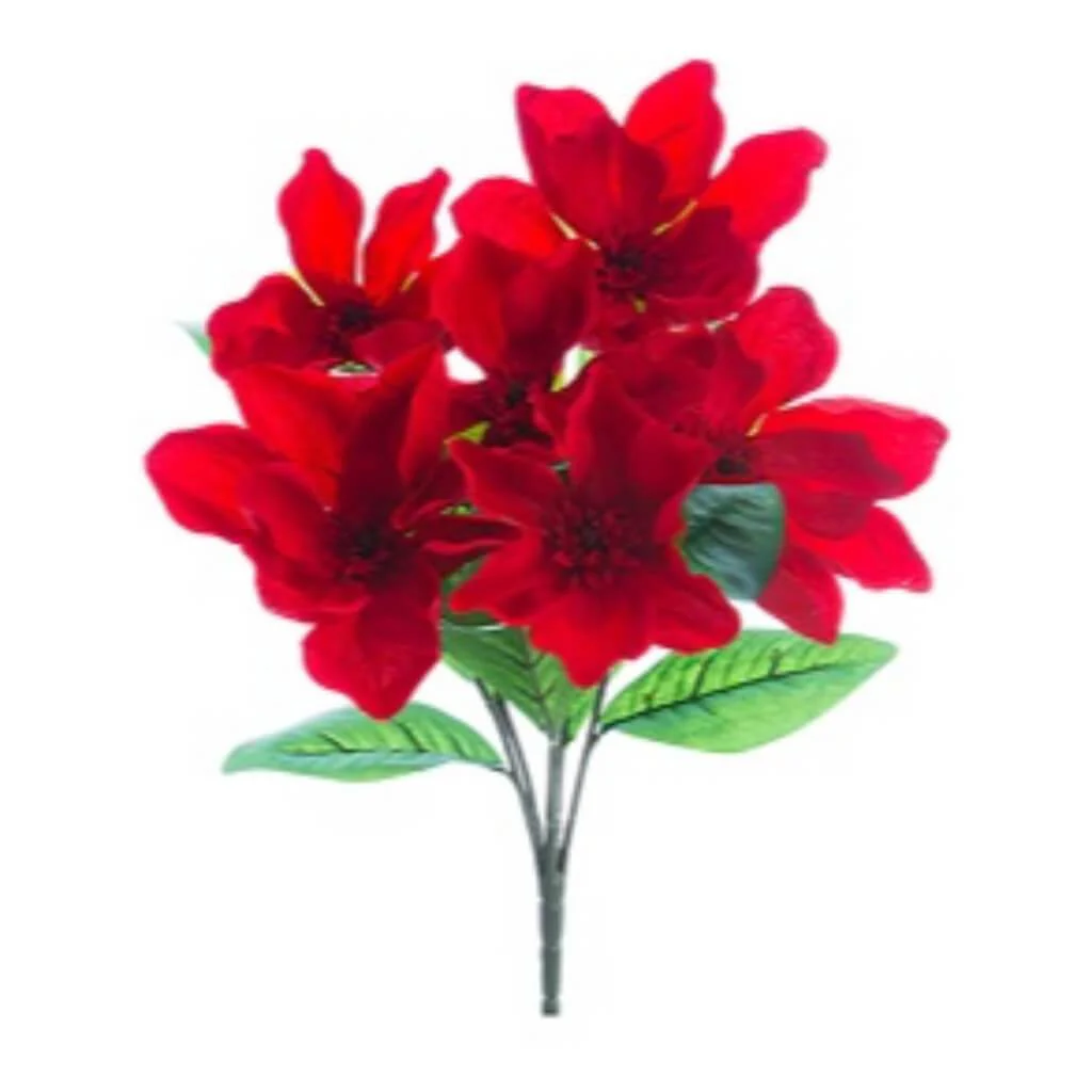 Magnolia Bush X6 20" Re