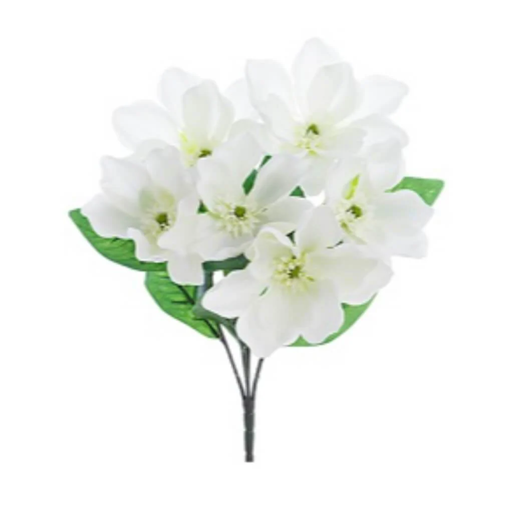 Magnolia Bush X6 20" Wh
