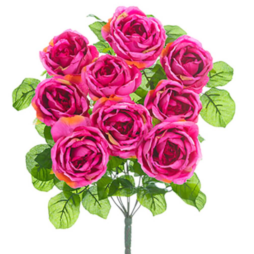 Rose Bush X9 20" Bt