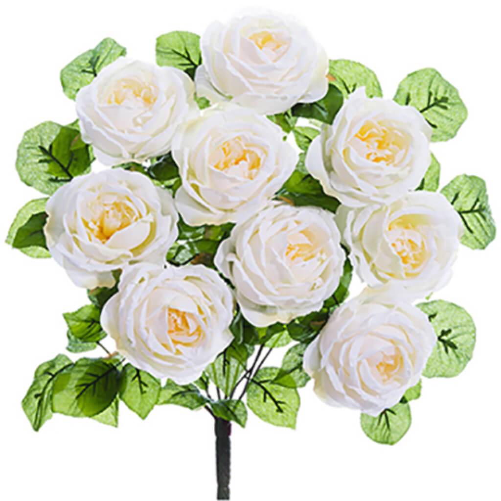 Rose Bush X9 20" Cr