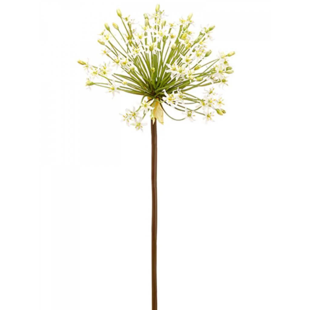 ALLIUM SPRAY 34" WHITE
