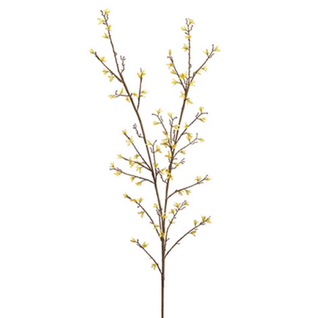 Forsythia Branch X2 54" Ye