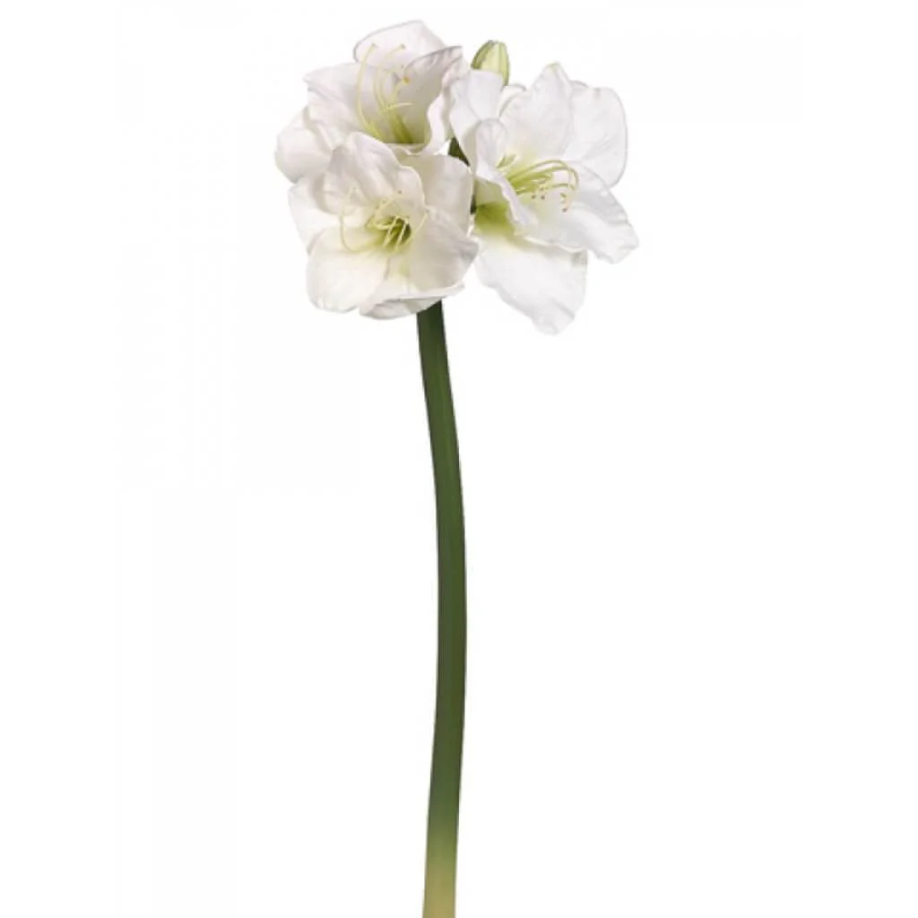 Amaryllis Spray 29" White