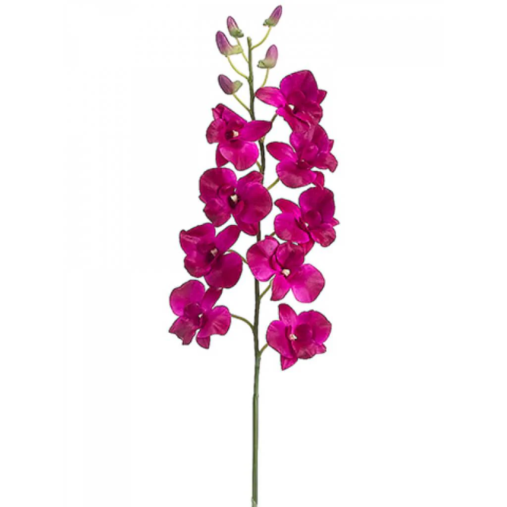 Dendrobium Spray 35" Orchid