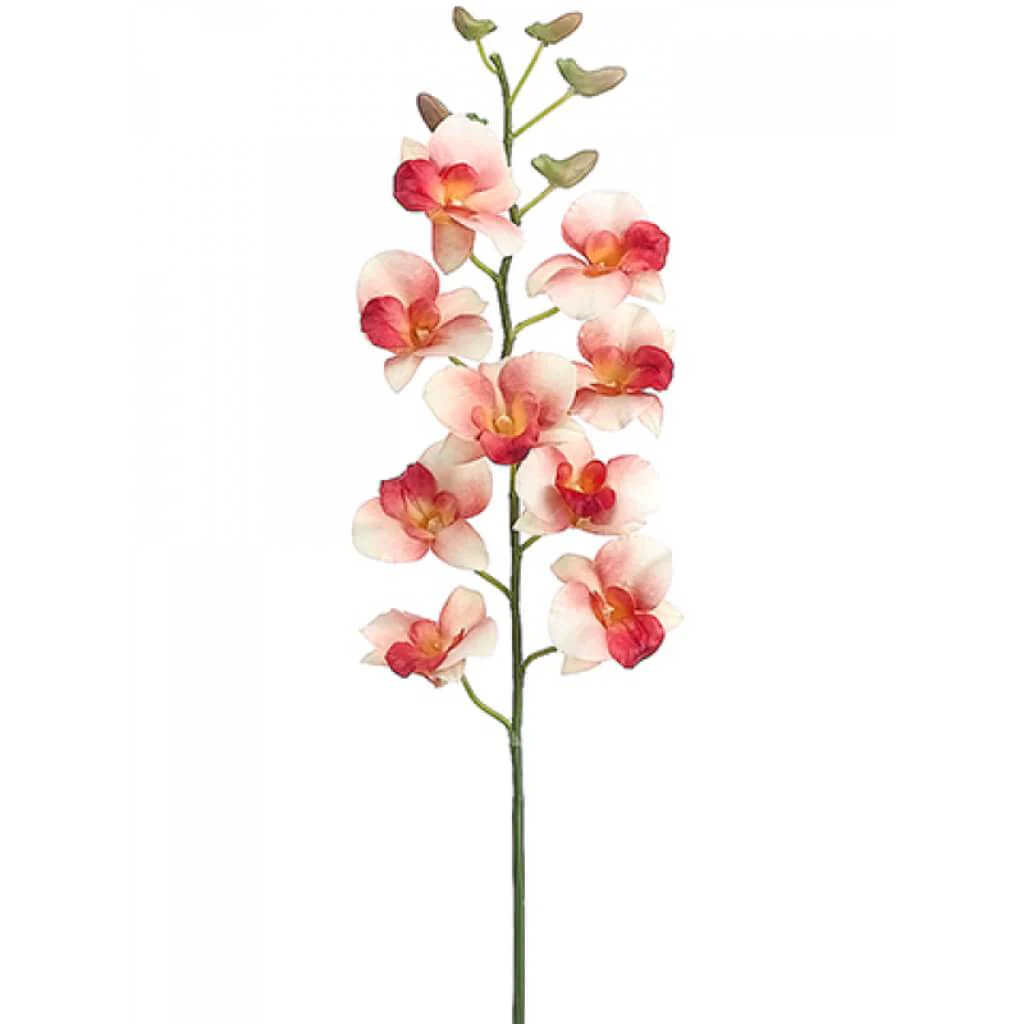 Dendrobium Spray 35" Peach