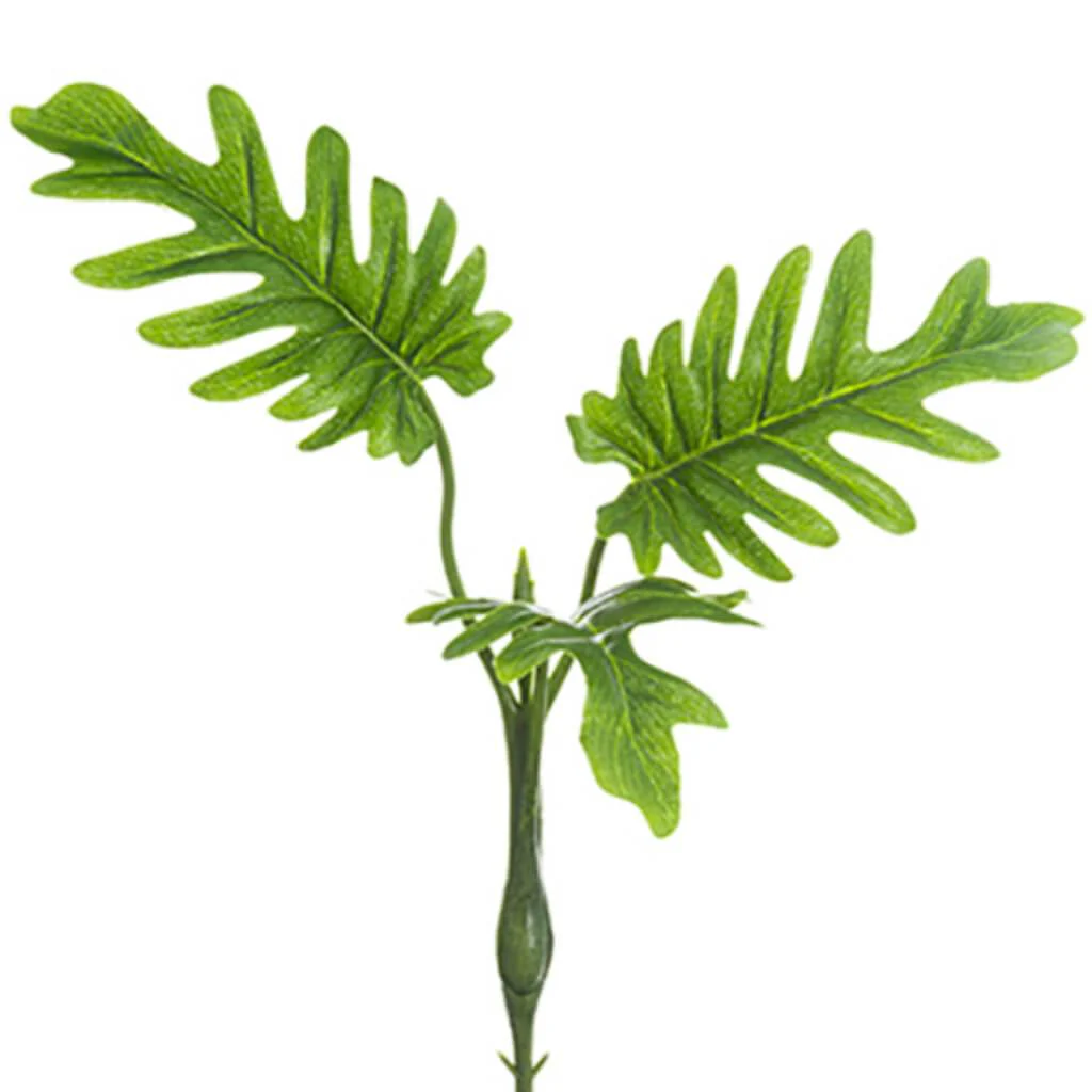 Split Philo Leaf Bush 14" Gr