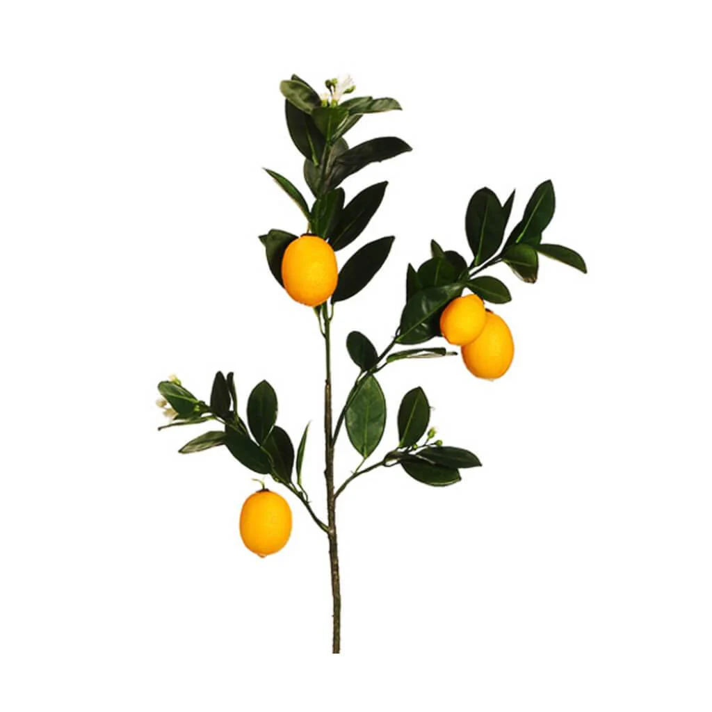 Lemon Branch 32" Ye