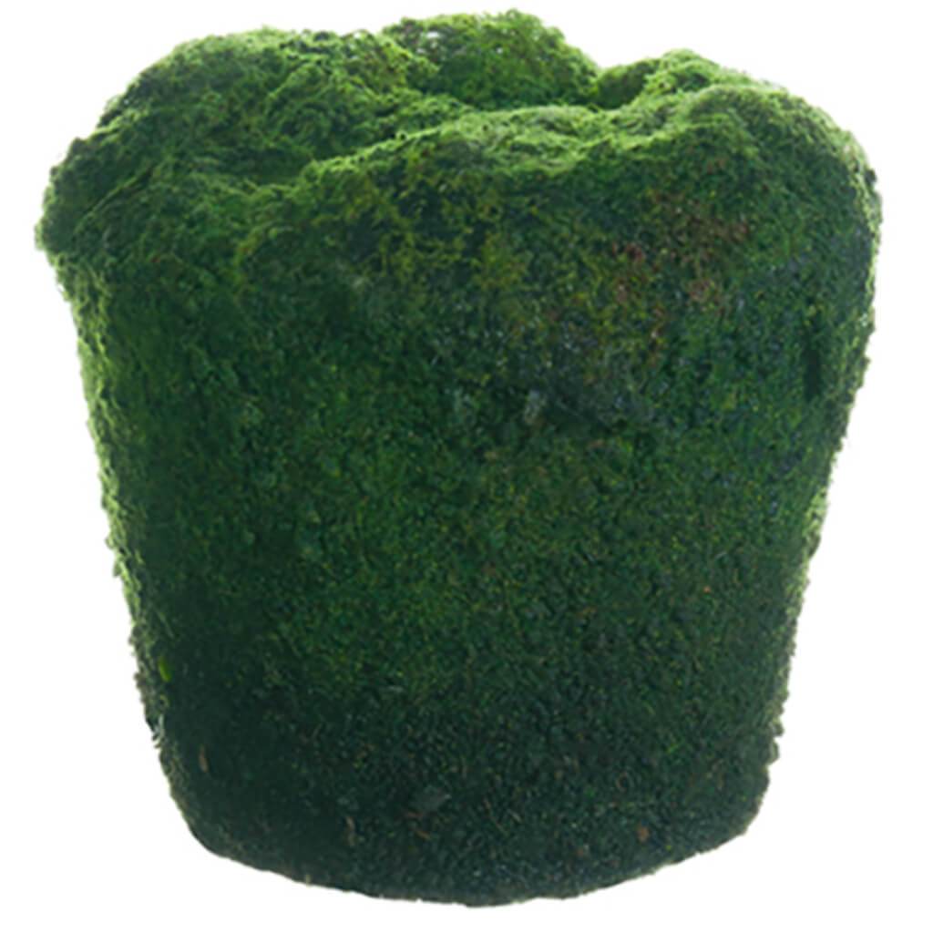 Moss/Soil Planter 4" Hx4" D Gr