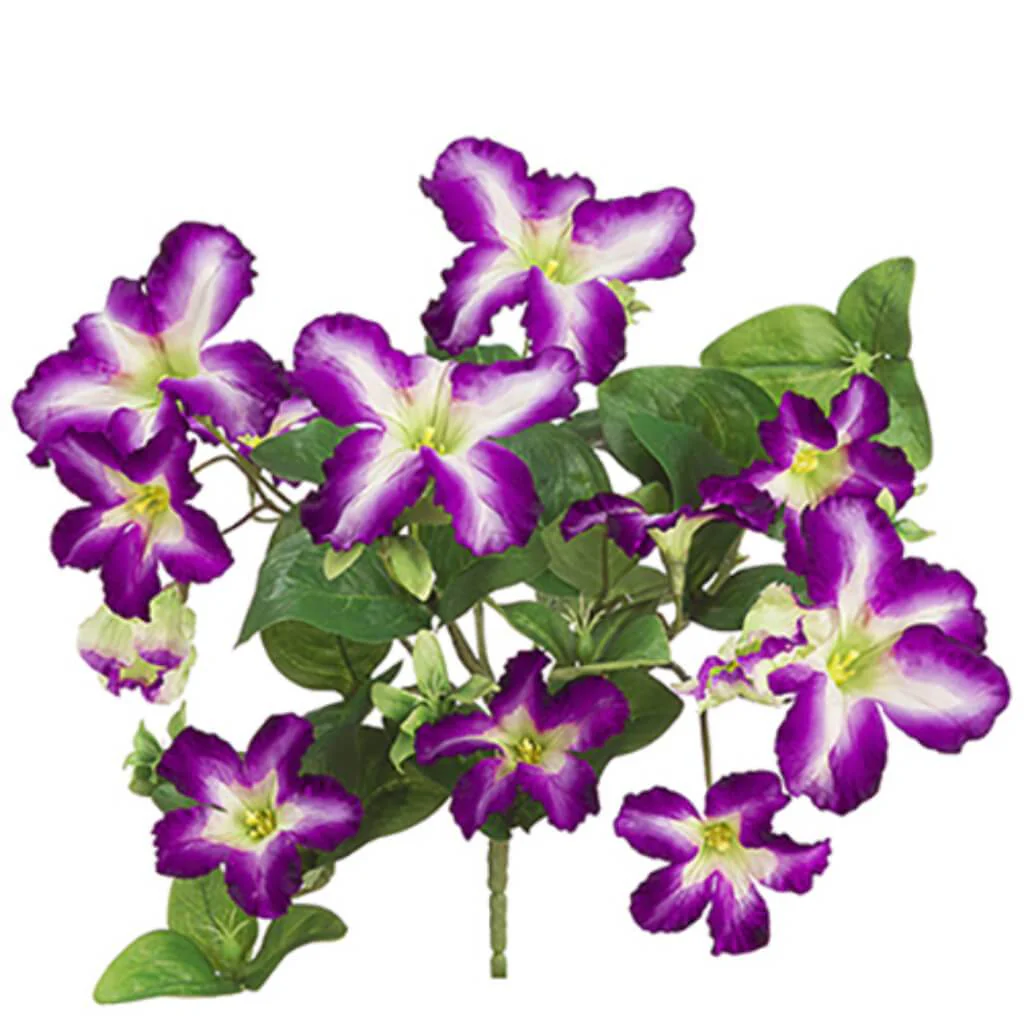 Petunia Bush 13" Pu