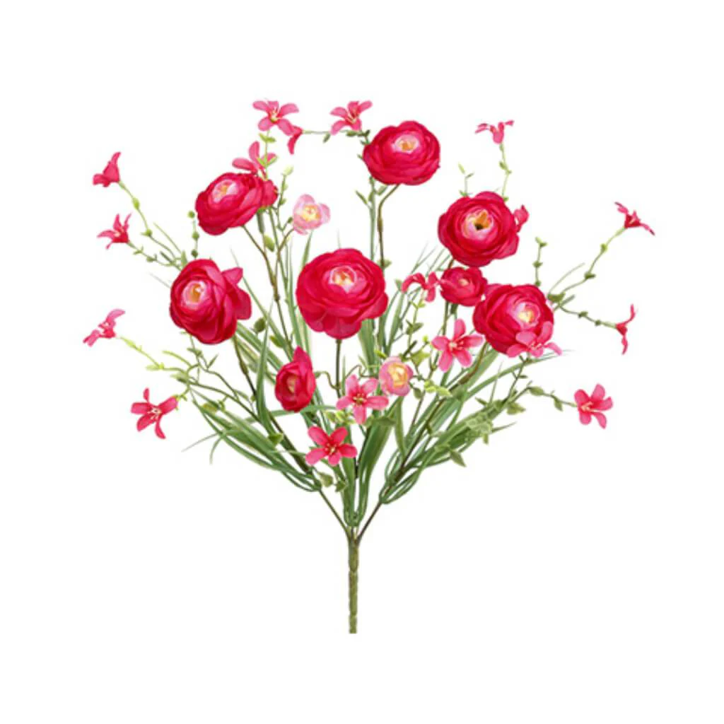 Ranunculus Bush X6 14" Bt