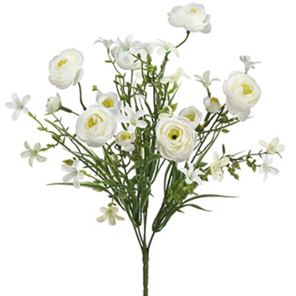 Ranunculus Bush X6 14" Cr