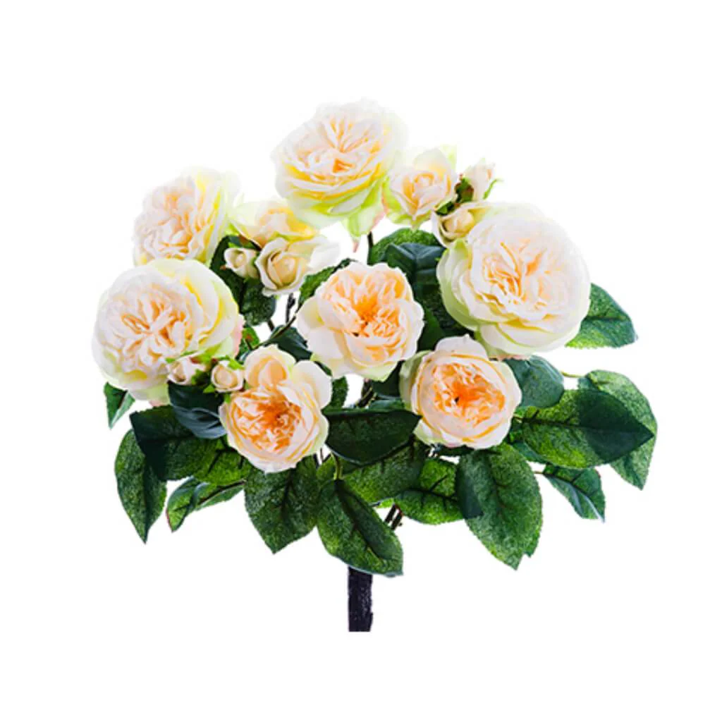 Rose Bush X7 15" Cr
