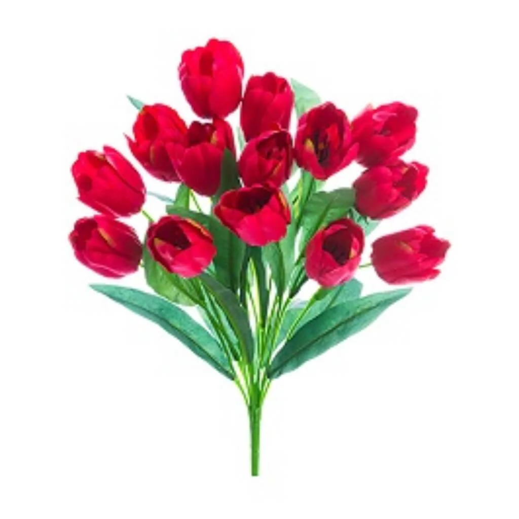 Tulip Bush X14 19" Bt